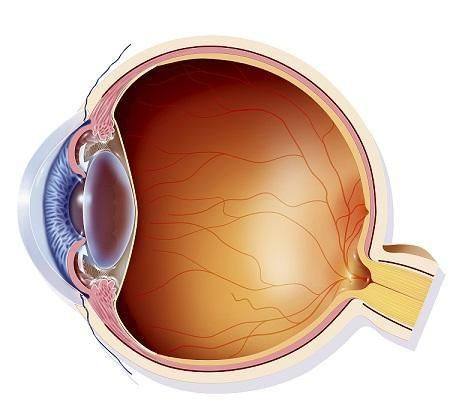 麻城市人民医院眼科医生团队实力强大及骨干医生简介