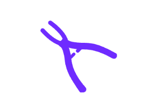 重庆渝澳尔口腔门诊部收费价格表/收费标准