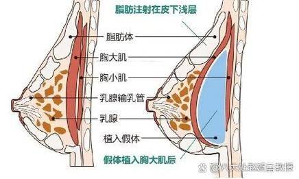 惠州美然医疗美容门诊部特色项目及技术优势