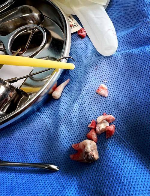 上海张玉春口腔诊所是正规医院吗?