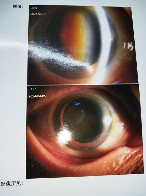 河北北方学院附属第二医院医生团队实力强大及骨干医生简介