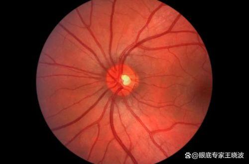 河北北方学院附属第二医院收费价格表/收费标准