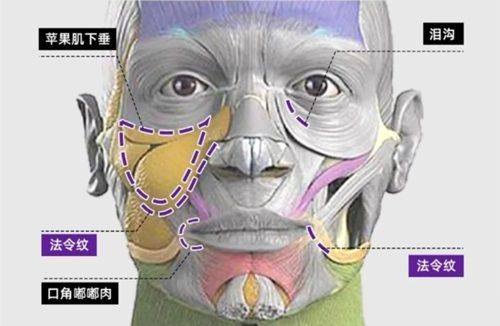 哈尔滨唐雪菲医疗整形美容诊所是正规医院吗?