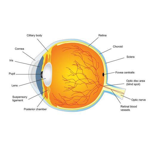 云南玉溪艾维眼科医院详细的预约挂号方式及流程