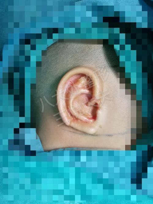 韩国清潭ZN整形外科地址电话营业时间