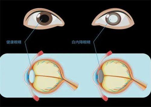 四川省科学城医院真人口碑评价怎么样？