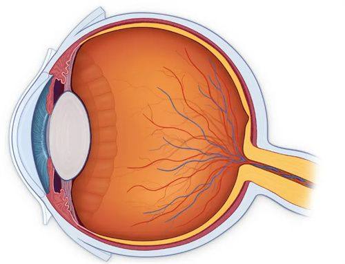 长春中 医 药大学附属第三临床医院眼科特色项目及技术优势