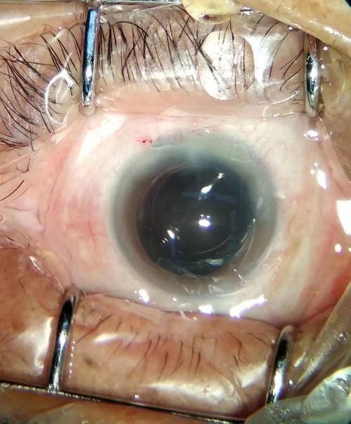 长春中 医 药大学附属第三临床医院眼科地址电话营业时间