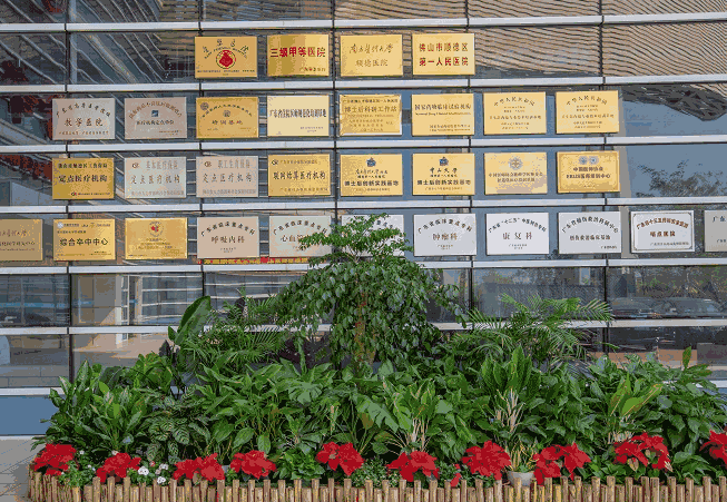 南方医 科 大学顺德医院眼科是正规医院吗?