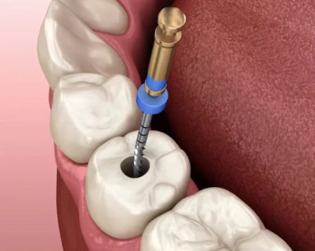 西安交通大学医学校第一附属医院口腔科医生团队实力强大及骨干医生简介