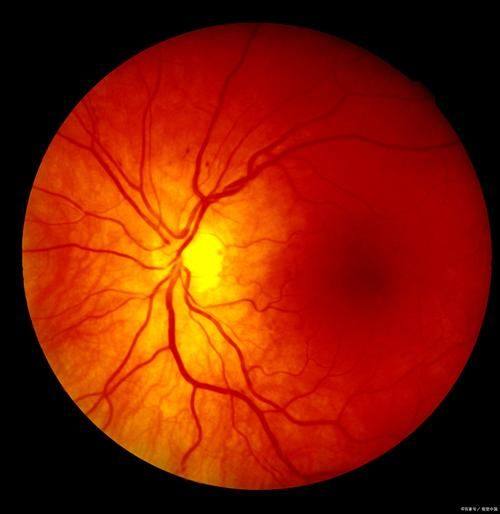 济宁京华眼科医院医生团队实力强大及骨干医生简介