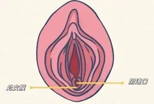 吴亮医生价格表