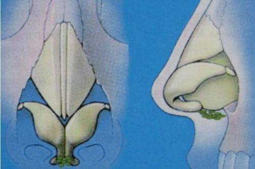 马春旭医生预约挂号