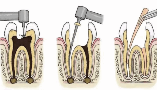 十堰美盛口腔门诊部地址电话营业时间