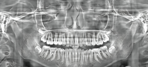 王淼医生价格表
