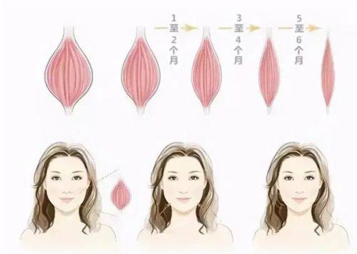 吴亮医生坐诊医院