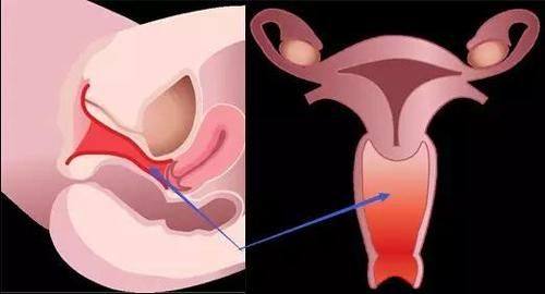 唐运龙医生口碑评价及真人实例
