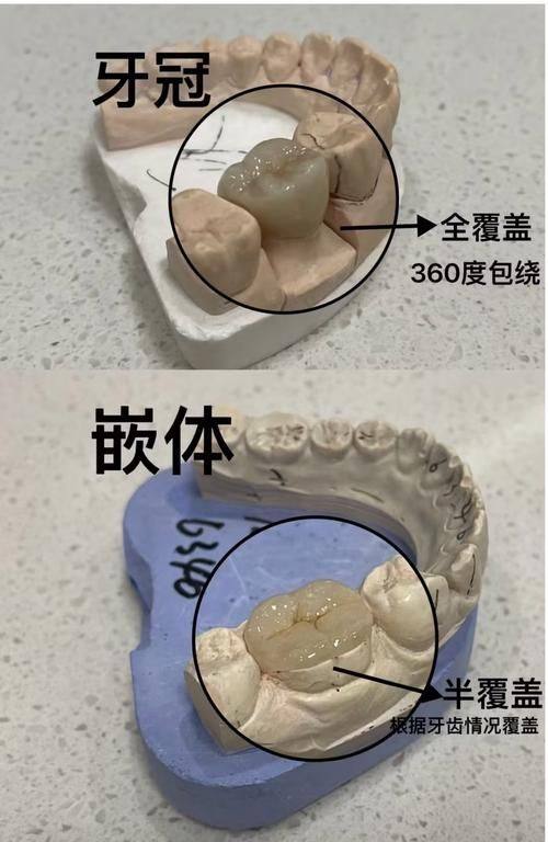 陶胤彤医生擅长项目