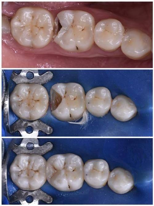 陶胤彤医生预约挂号