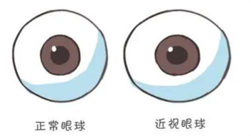 王晓艳医生价格表