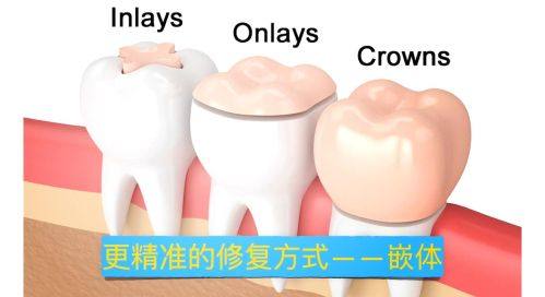 陶胤彤医生价格表