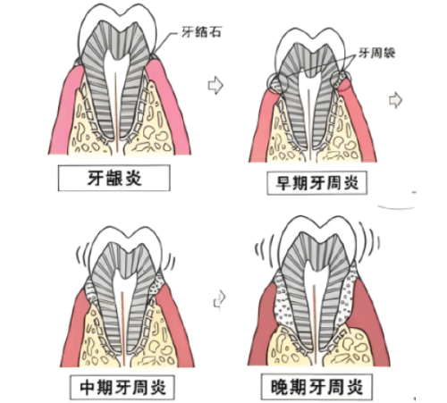方丽医生执医荣誉
