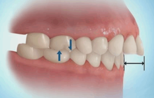 王淼医生价格表