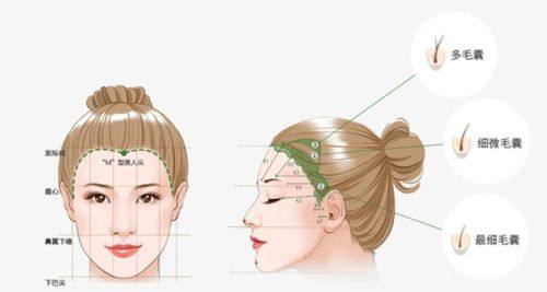 口碑评价及真人实例