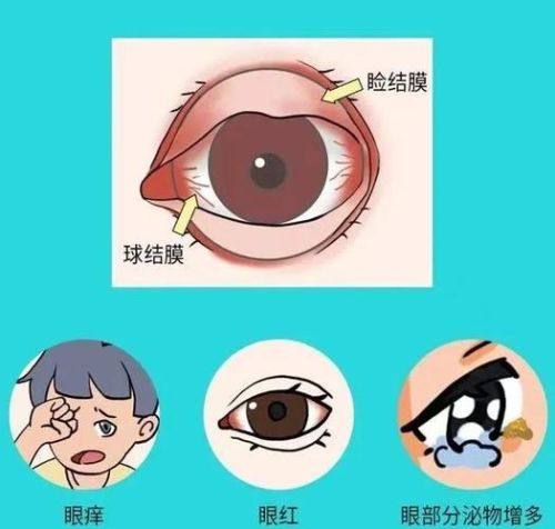 王平宝医生执医荣誉