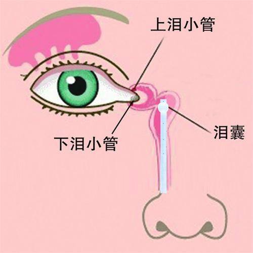 王津伟医生坐诊医院