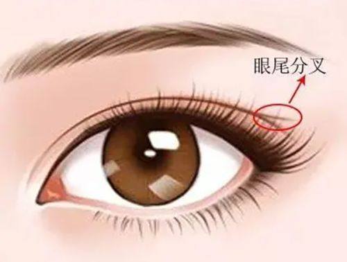 吴亮医生坐诊医院