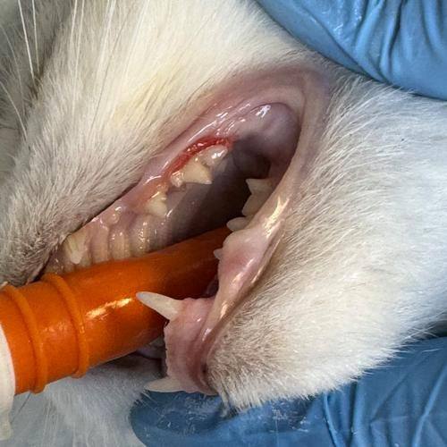 艾志伟医生口碑评价及真人实例