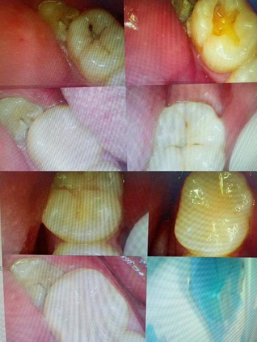 毛治军 医生价格表