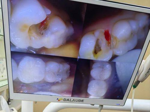 毛治军 医生预约挂号