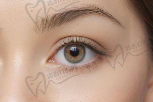 王洁月医生擅长项目