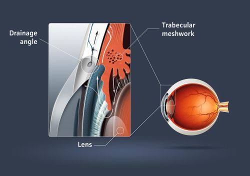 王洁月医生价格表