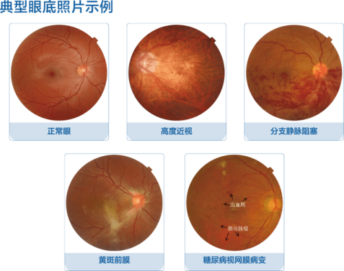 首都医 科 大学附属复兴医院眼科地址电话营业时间