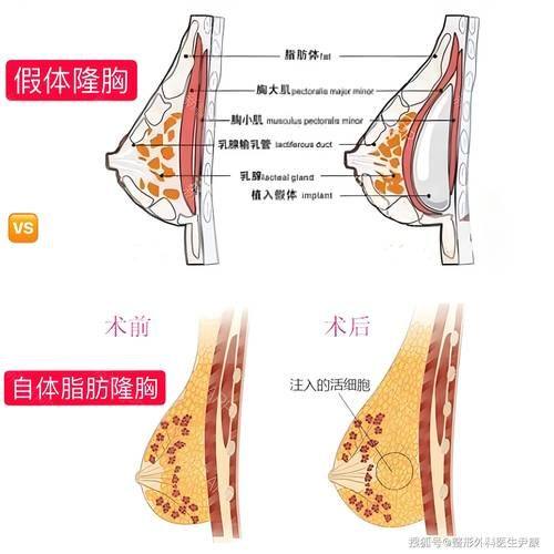 河北沧州红提医疗整形医院详细的预约挂号方式及流程