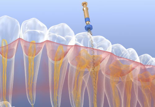袁惠玲医生价格表