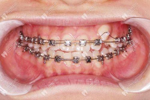 陶胤彤医生执医荣誉