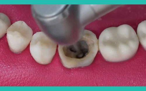 袁惠玲医生执医荣誉