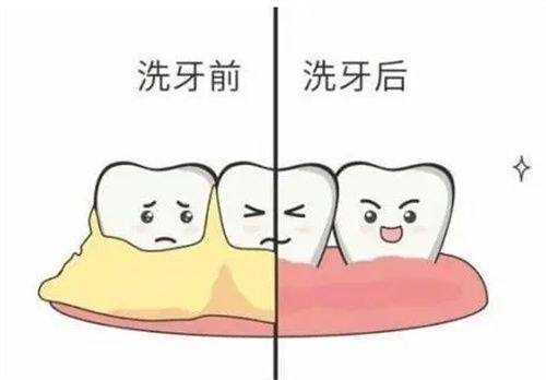 西宁博强口腔门诊部收费价格表/收费标准