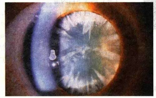 张桂阳医生预约挂号