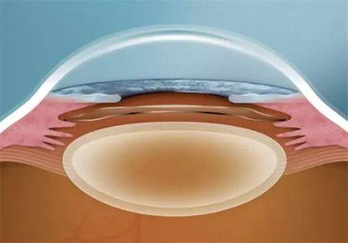 临沂兰山麦迪格眼科诊所地址电话营业时间