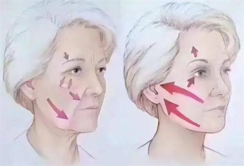 戴浩医生价格表