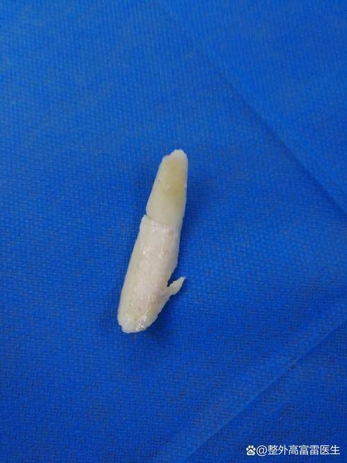 桂林医学校第二附属医院整形美容科地址电话营业时间