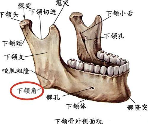 韩国百利酷整形外科地址电话营业时间