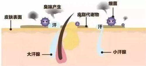 八王子Skin Care医生团队实力强大及骨干医生简介