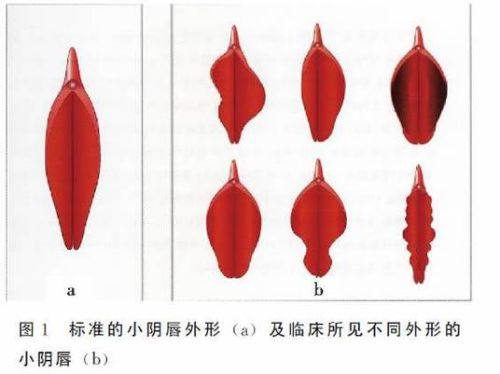 万永莉医生预约挂号
