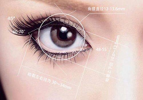 夏兆骥医生擅长项目